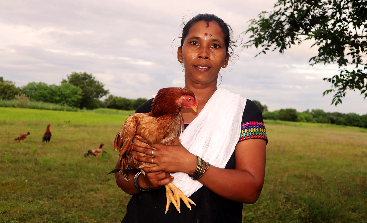 Support 1000 Women to Create Assets Country Chicken Rearing